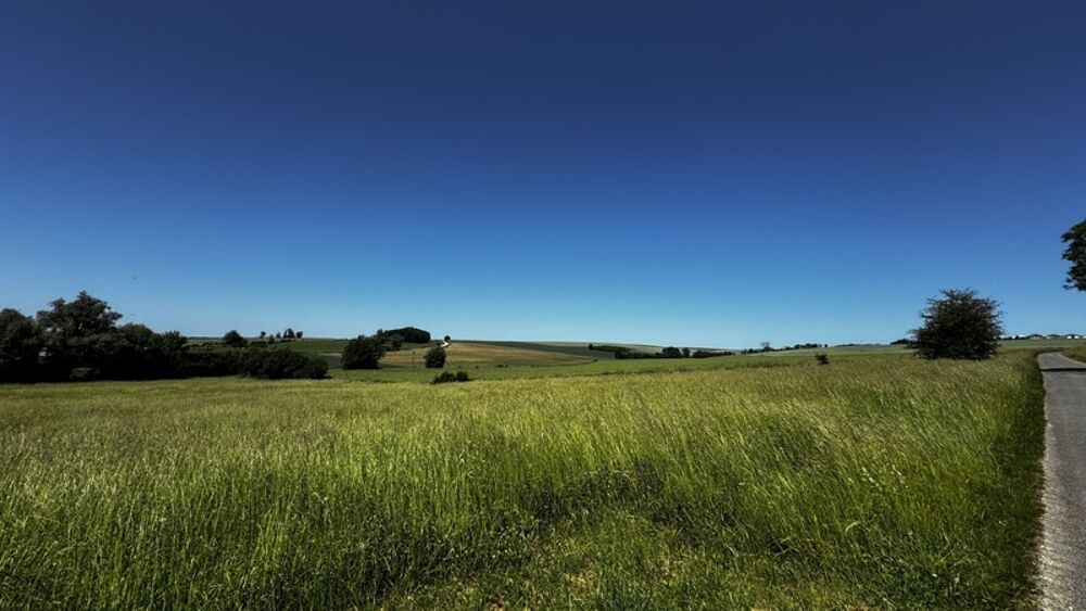 Vente Terrain A vendre, Terrain de loisirs de 6 310 m² à Aincreville – Cadre naturel et nombreuses possibilités Aincreville