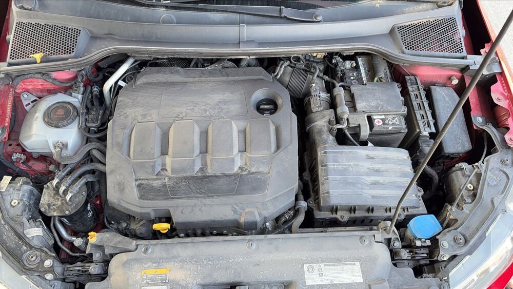 Arona I 1.6 TDI 95 Xcellence 2019 occasion 01170 Cessy