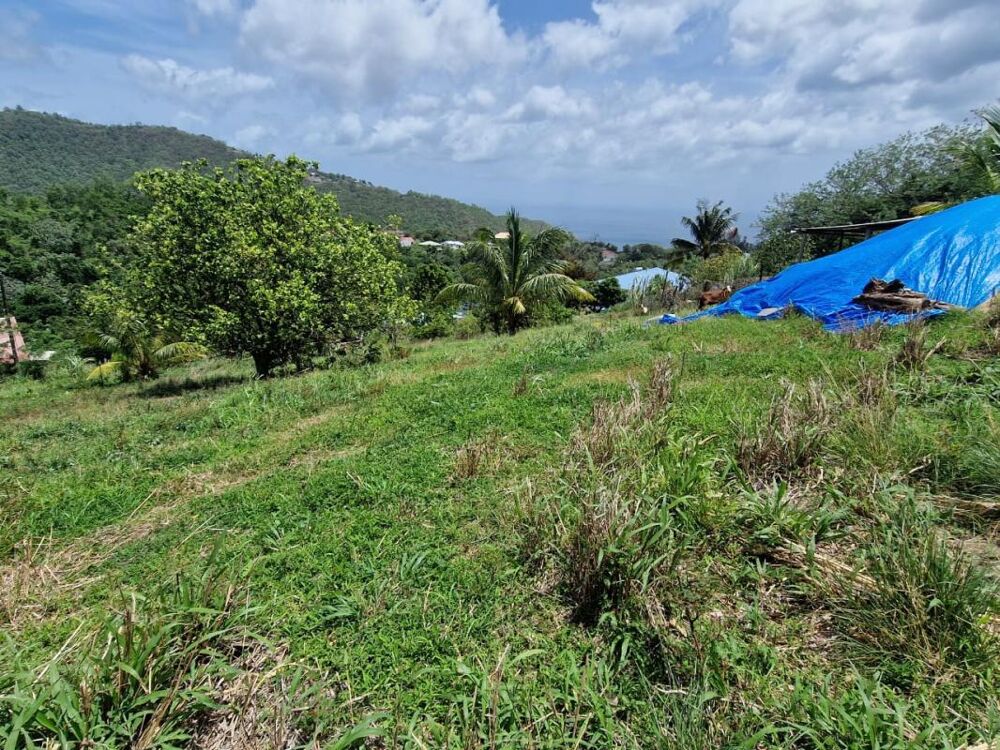 Vente Terrain Terrain Le Morne Vert Le morne vert