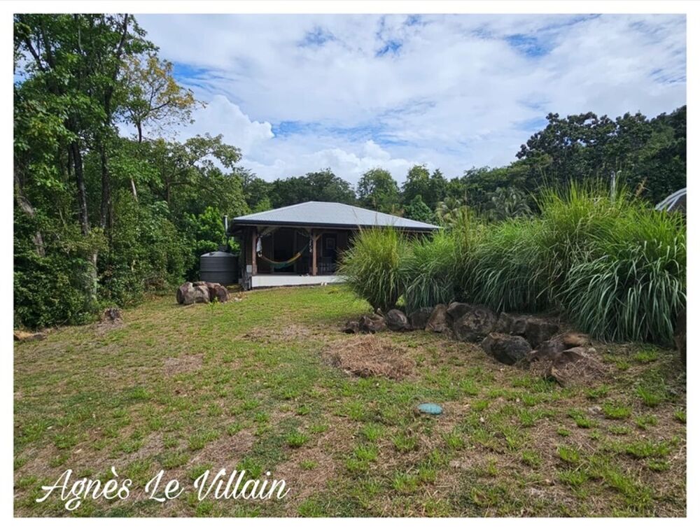 Vente Terrain Terrain Plat avec Maisonnette proche Plage de Grande Anse Deshaies