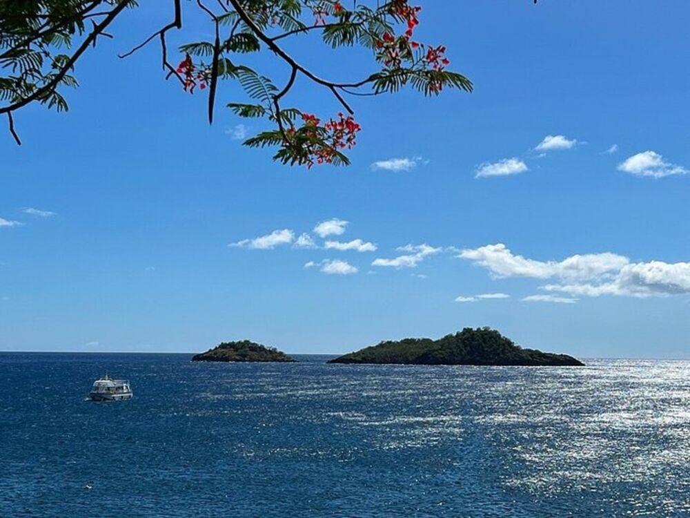 VUE MER VILLA + 3 BUNGALOWS avec piscine 8500 m² de terrain