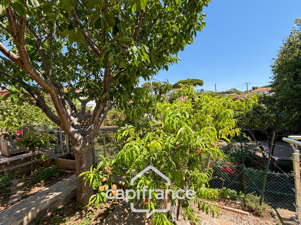 à vendre  Maison Carqueiranne (83320)