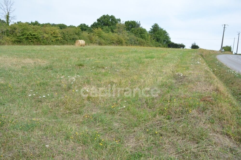 Vente Terrain Terrain à construire à vendre  ALLIGNY COSNE (58200) Alligny cosne