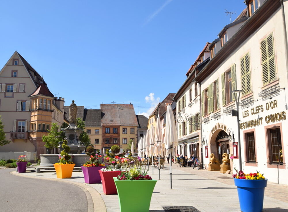 Appartement à venir 3 pièces avec jardin SOULTZ HAUT RHIN (68)