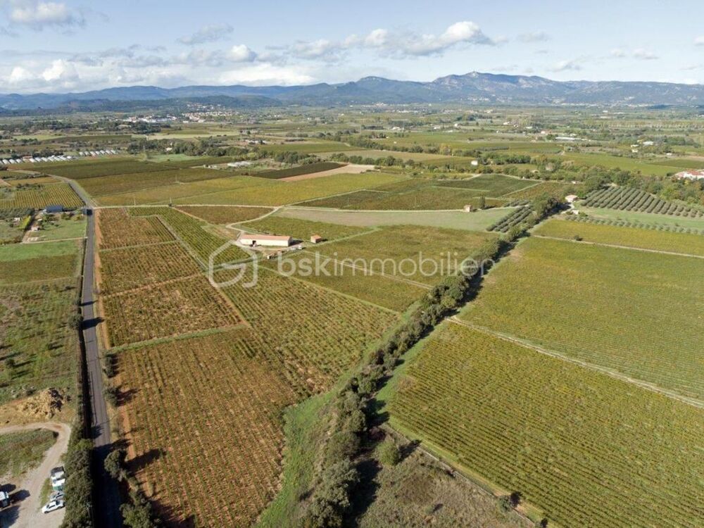 Vente Terrain Domaine viticole BIO de 9 hectares au cœur de l'Hérault Ceyras
