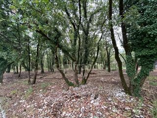 Vente Terrain Terrain à vendre  16300m² SAINT PANTALY D'EXCIDEUIL (24) Saint pantaly d excideuil