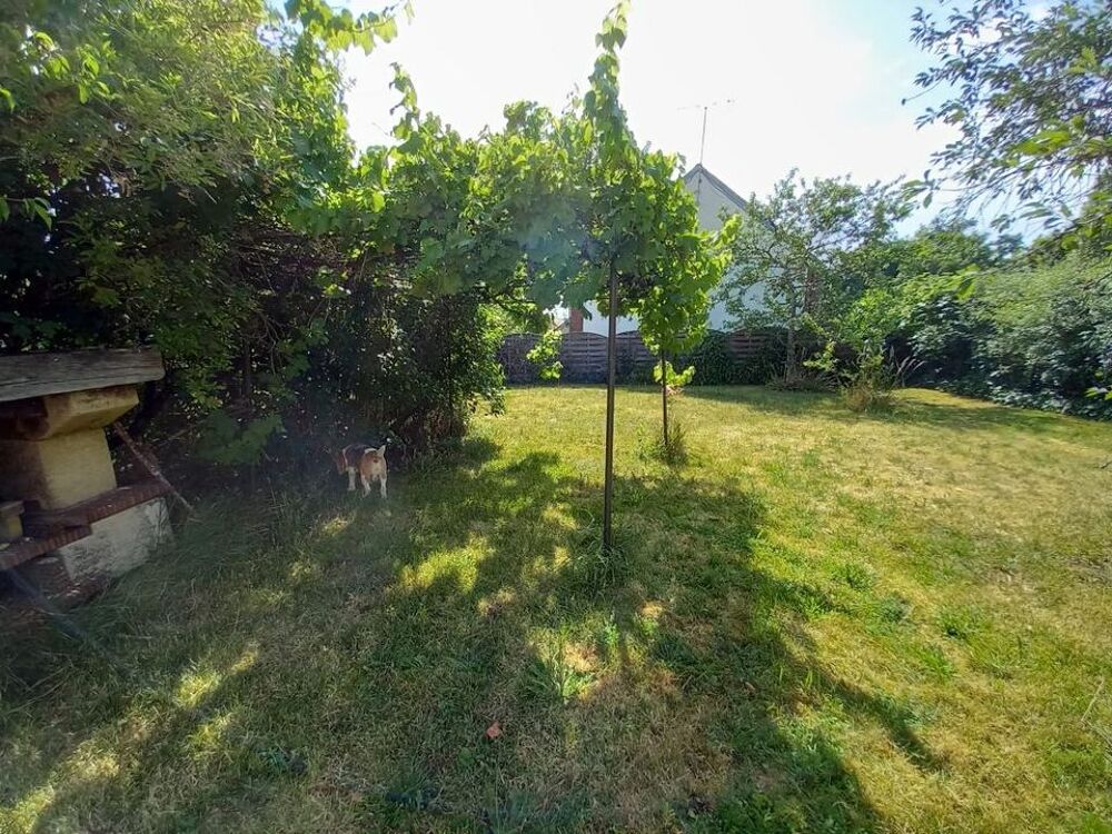 Location Appartement Chambre de 21m2 à louer sur La Chapelle-Saint-Sépulcre La chapelle saint sepulcre
