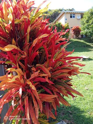  Immeuble � vendre 12 pi�ces 240 m�