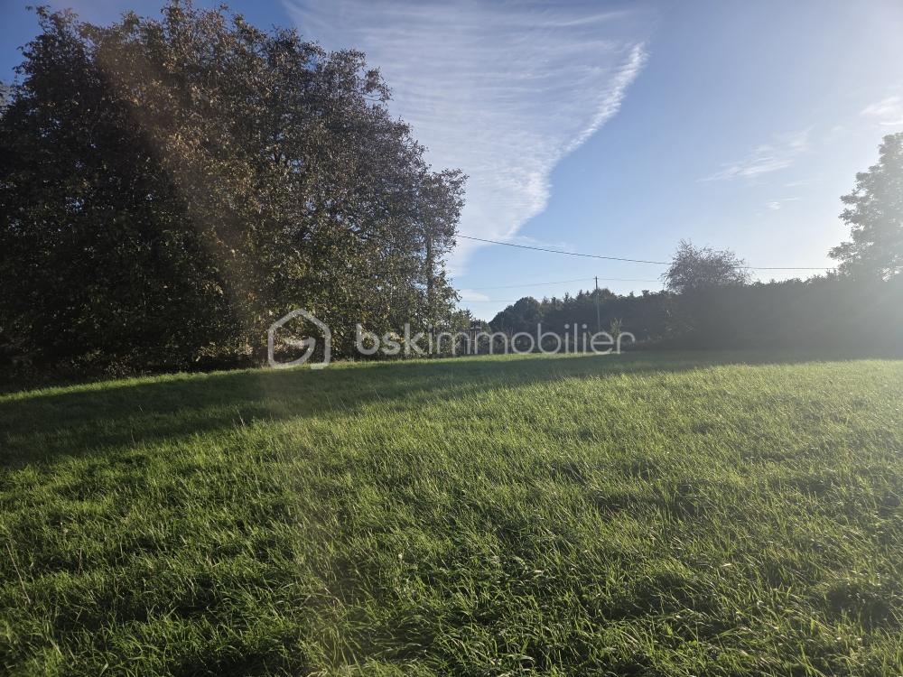 Vente Terrain Terrain 1350m2 Xanton chassenon