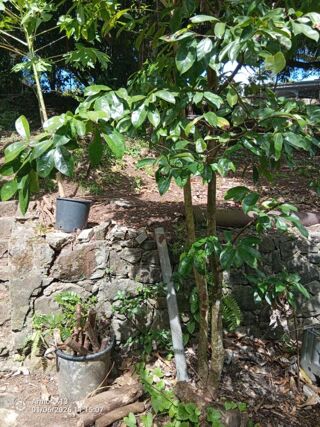  Terrain � vendre 840 m�