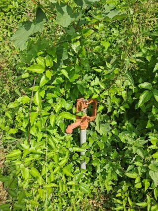  Terrain � vendre 807 m�