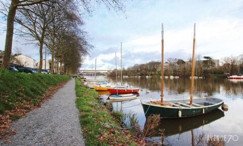  Appartement � louer 2 pi�ces 29 m�