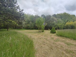  Terrain à vendre 100000 m²