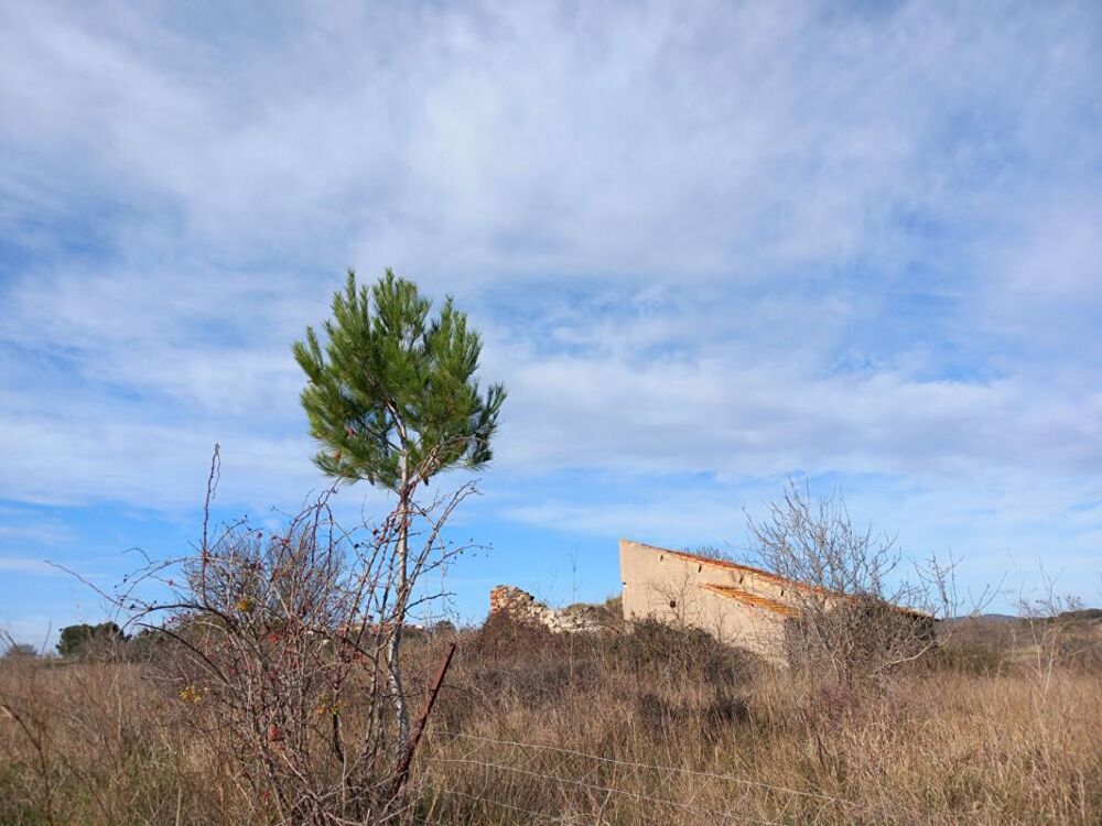 Vente Terrain 4,5 hectares de terre agricole avec  Grange de 95m2 à REHABILITER sur le terrain Caux