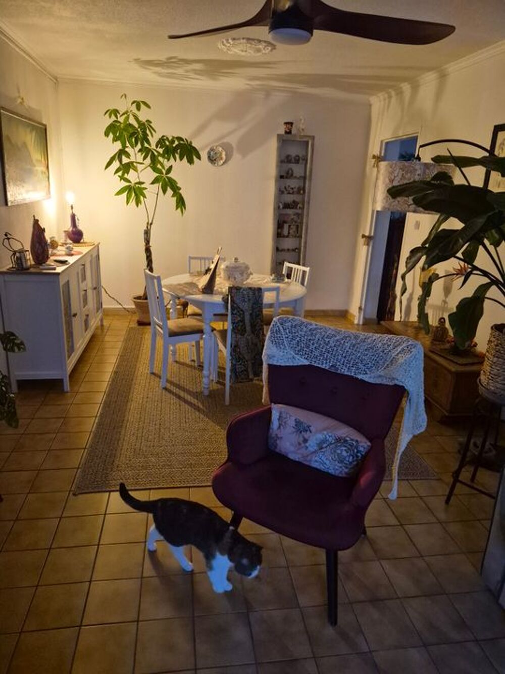 Appartement de 72m2 à louer sur Nérac