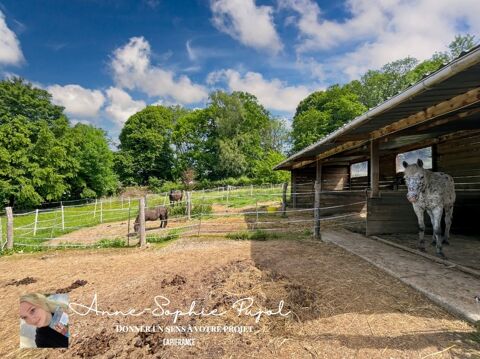   VALDAMPIERRE � MAISON DE CAMPAGNE - TERRAIN CHEVAUX Maison - 6 pi�ce(s) - 162 m�