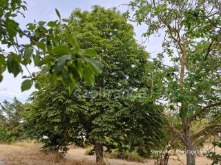  Maison  vendre 5 pices 119 m