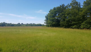  Terrain à vendre 27555 m²