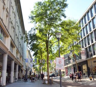  Appartement � vendre 5 pi�ces 102 m�