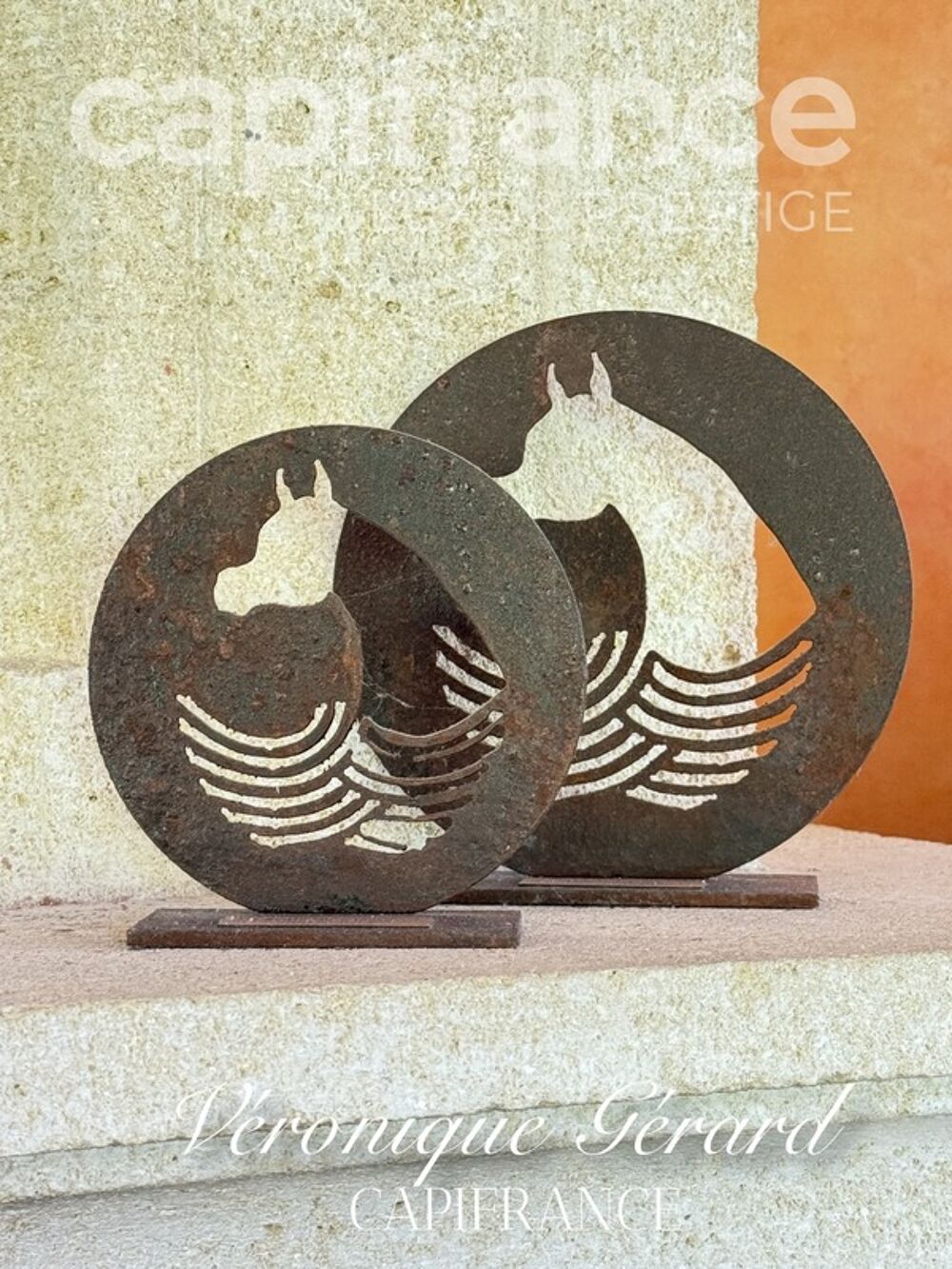  vendre  Proprit/chteau Sallebuf (33370)