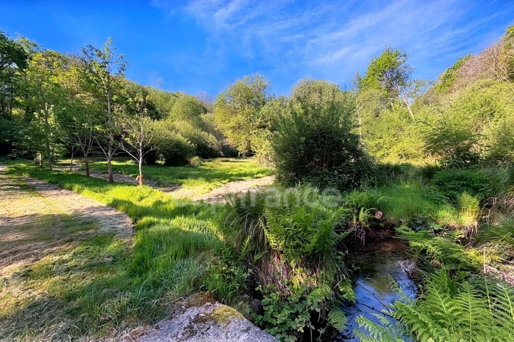 Vente Terrain Terrain de loisirs non constructible - 7138m² de nature - Prairie, ruisseau et tranquillité absolue Quimper (29) Quimper