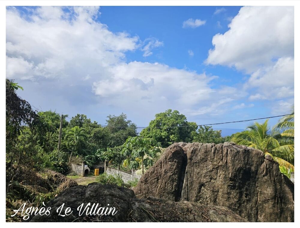 Vente Terrain Terrain Vue Mer Grosses Roches de 1 041 m2 Pointe noire
