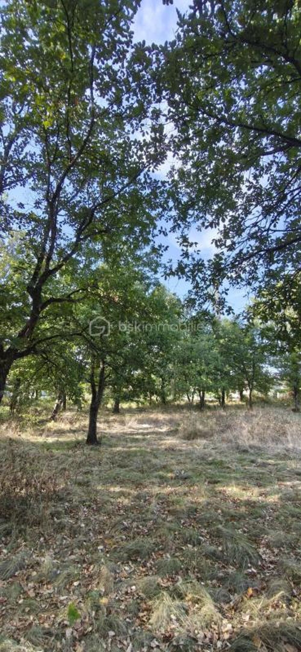 Vente Terrain VENDS TERRAIN CONSTUCTIBLE DE 1408 M2 A SAINT-NAUPHARY Saint nauphary