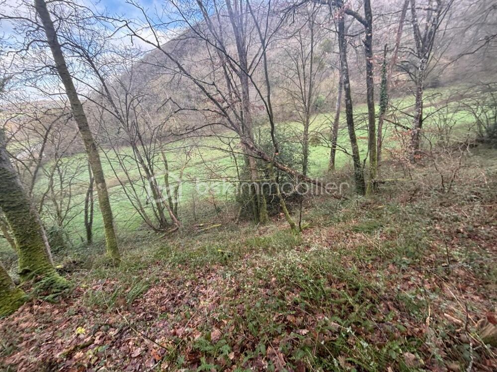 Vente Terrain ET SI VOUS POSSÉDIEZ 2,48 HECTARES DE FORÊT EN SUISSE NORMANDE ? Esson