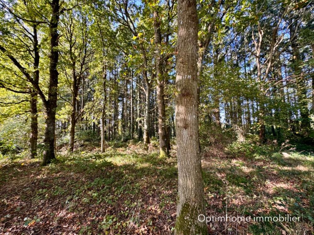 à vendre  Maison Carolles (50740)