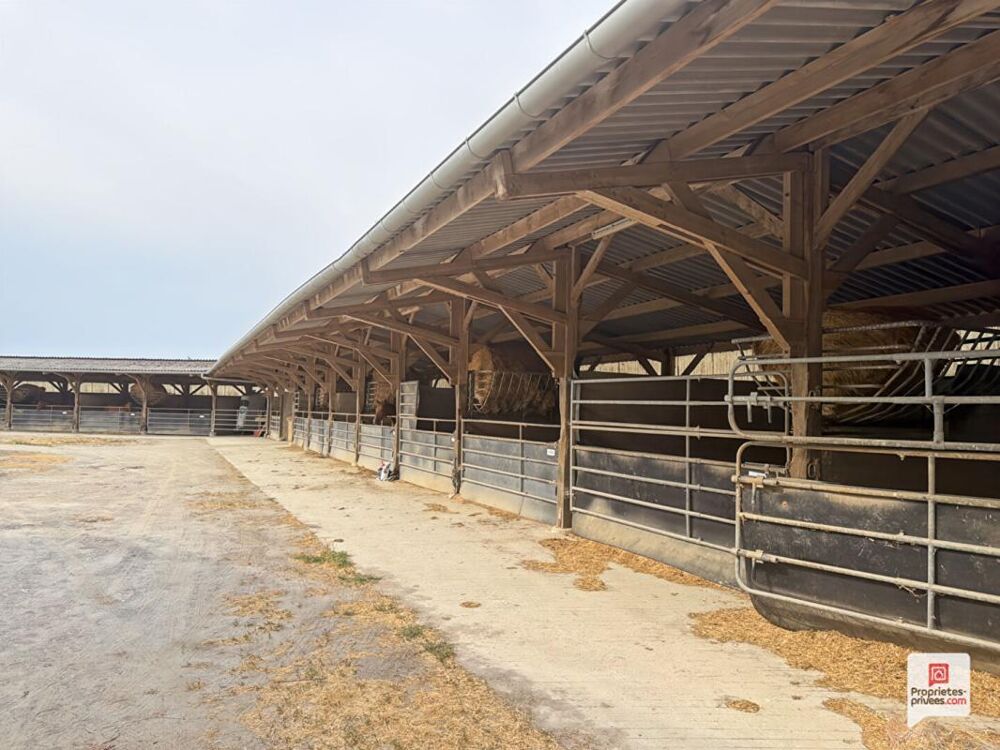 Propriété equestre Erdre En Anjou 7 pièce(s) 169 m2