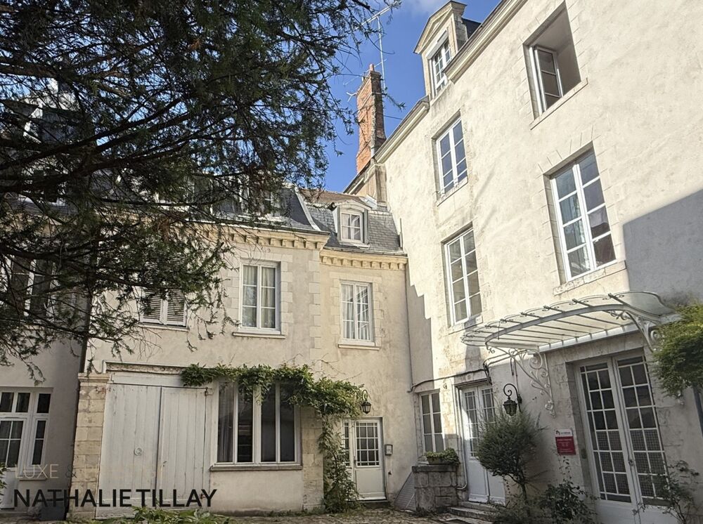 Appartement esprit loft, a vendre, Face Loire Orleans, dernier etage en hotel particulier