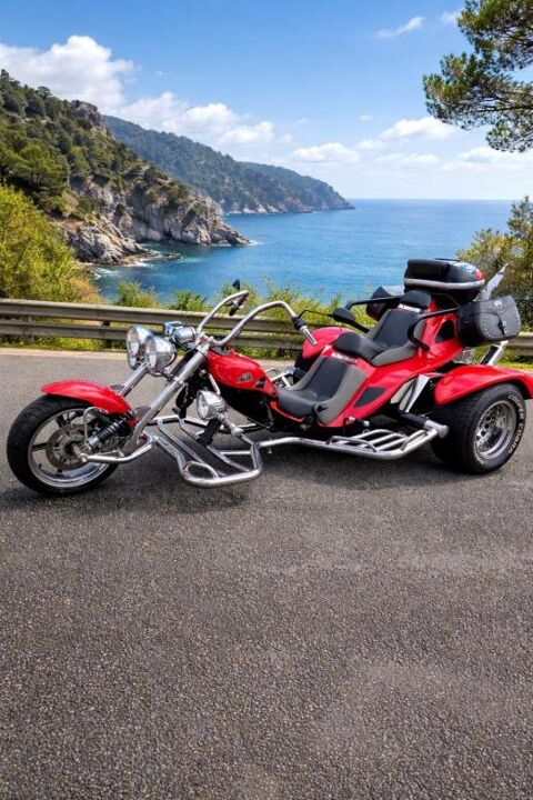 Trike Trike 2007 occasion Lavault Sainte Anne 03100
