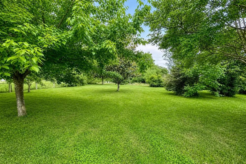 Résidence 253m², 6 appts, louée, Barbotan-les-Thermes