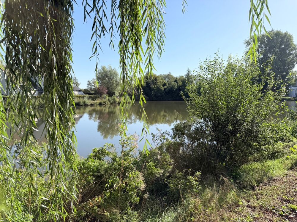 Vente Maison Maison semi-plain-pied de 107 m² avec vue sur le lac du château – Charme, confort et élégance contemporaine Villeneuve d ascq