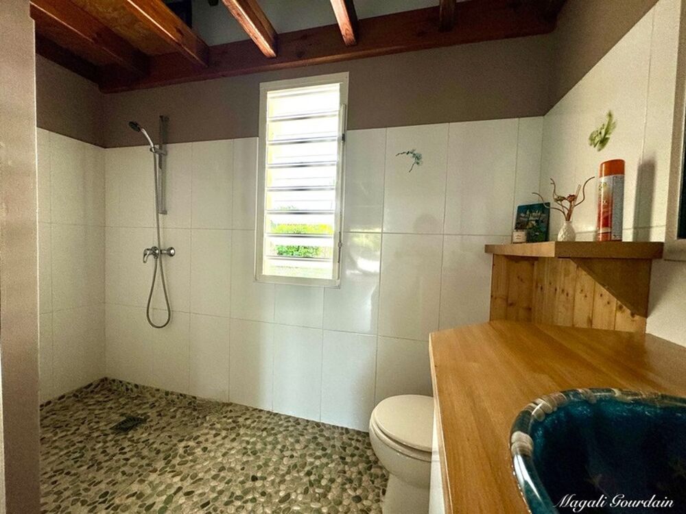 � vendre  Propri�t�/ch�teau Saint-Fran�ois (97118)