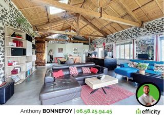  Maison � vendre 13 pi�ces 367 m�