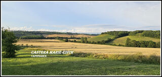  Proprit/chteau  vendre 1 pice 860 m