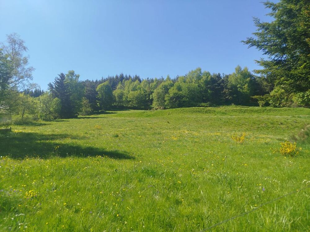Vente Terrain Terrain Constructible Chaudeyrac 6438m² Chaudeyrac