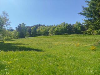  Terrain à vendre 6438 m²