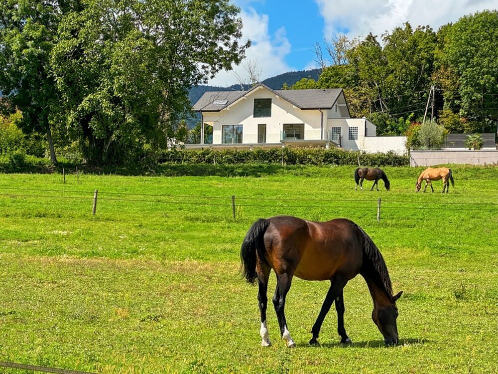 Vente Maison Maison à vendre 7 pièces DIVONNE LES BAINS - Maison contemporaine avec vue et magnifiques volumes Divonne les bains