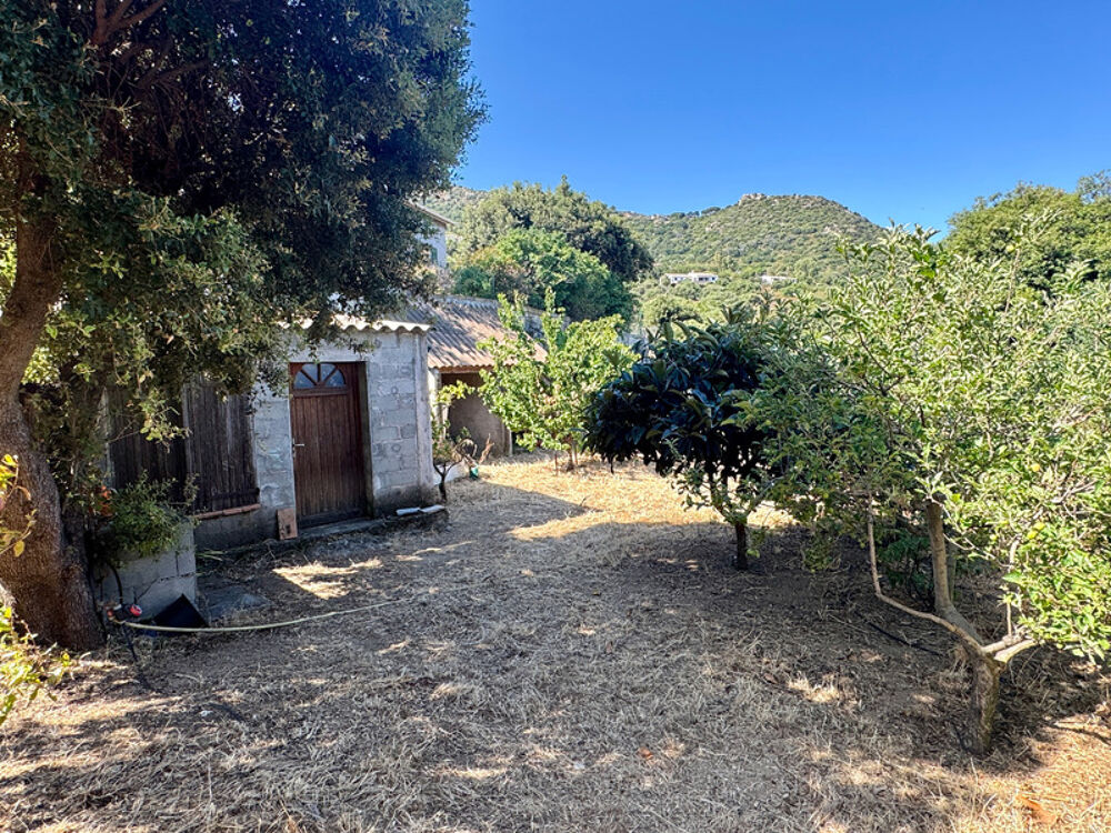 à vendre  Maison Corbara (20256)
