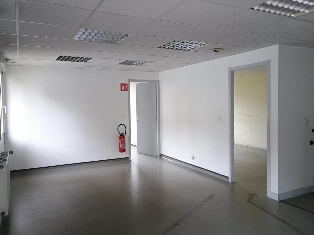   LOCAL PROFESSIONNEL - GEX 