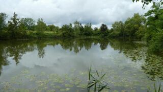  Proprit/chteau  vendre 2464 m