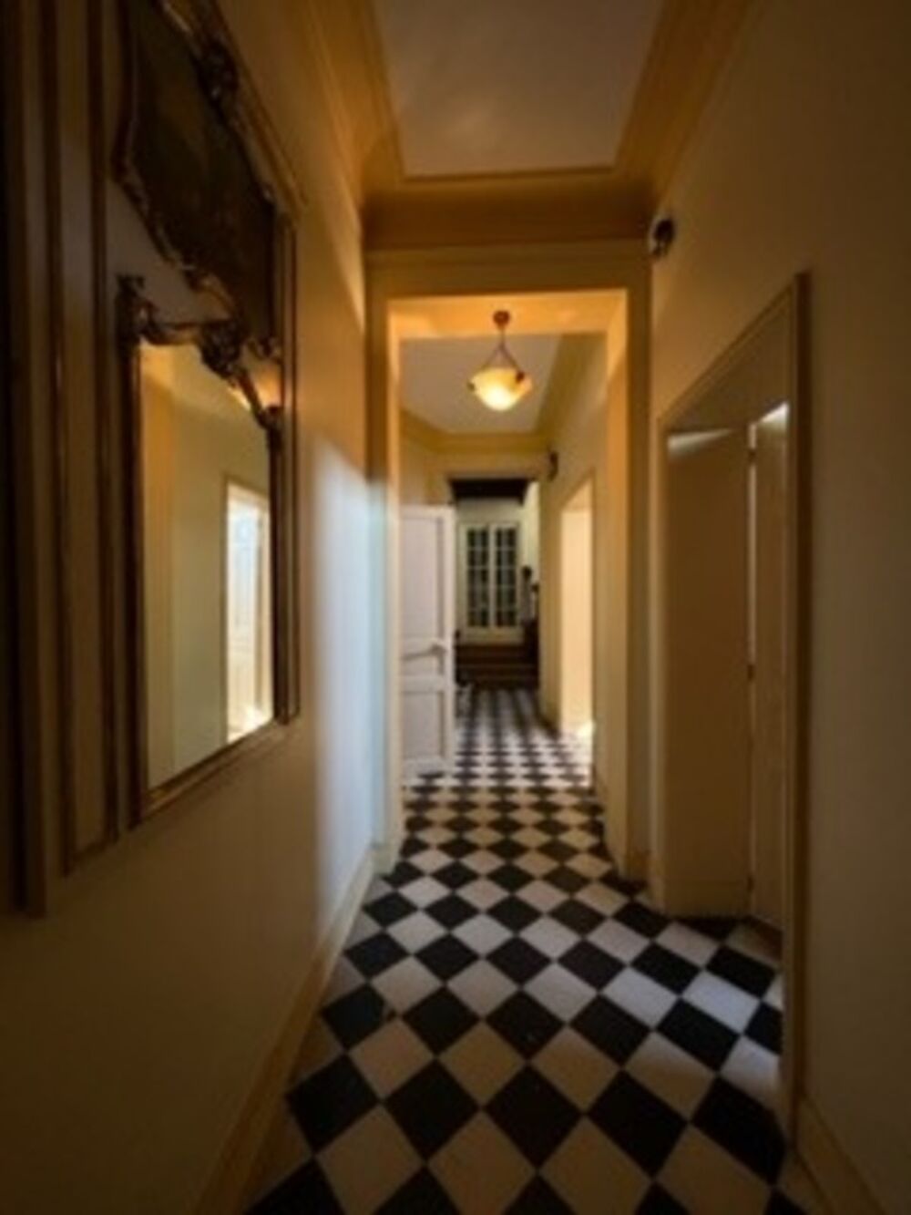 à vendre  Propriété/château Amboise (37400)