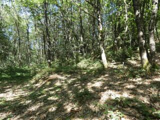  Terrain  vendre 1023 m