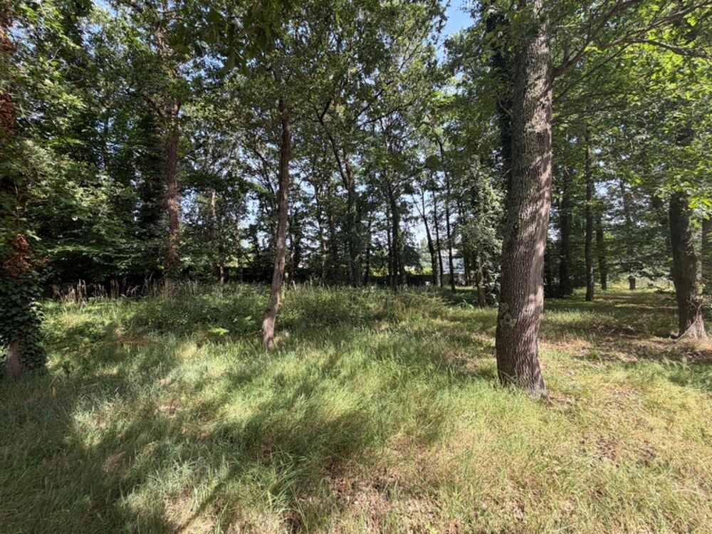 Vente Terrain Dpt Maine et Loire (49), à vendre BAUGE terrain Bauge
