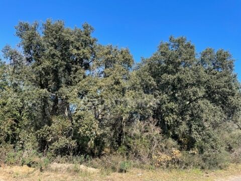   Var (83), à vendre GASSIN Terrain Agricole Zone AOC environ 17 000 m² (1 ha 7a) (31 euros/m2) 