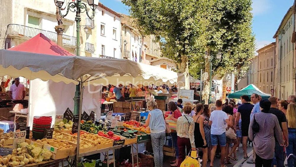 Vente Terrain Terrain de 477m² plat et viabilisé Clermont l herault