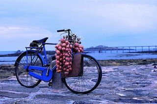  Terrain � vendre 310 m�