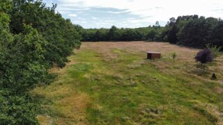  Terrain à vendre 9000 m²